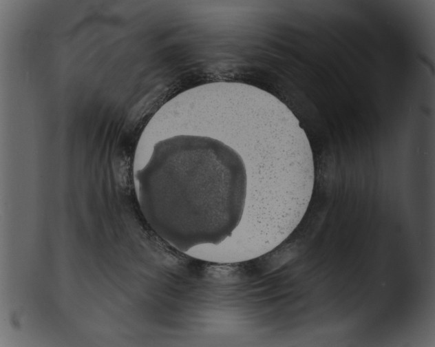 X0000103300139200809261322