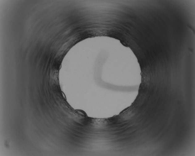 X0000103300141200809261322
