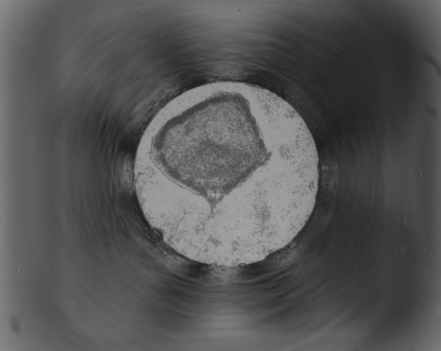 X0000103300143200809261322