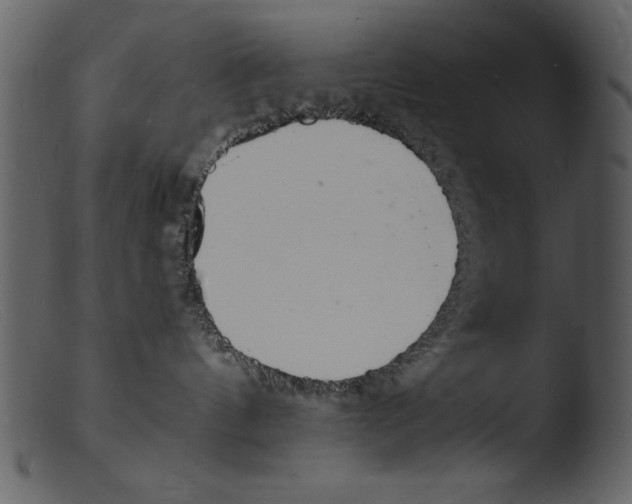 X0000103300144200809261322