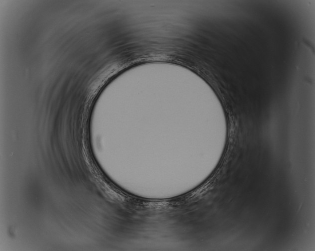 X0000103300145200809261321