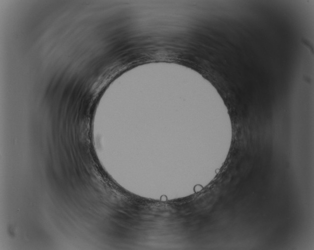 X0000103300146200809261321