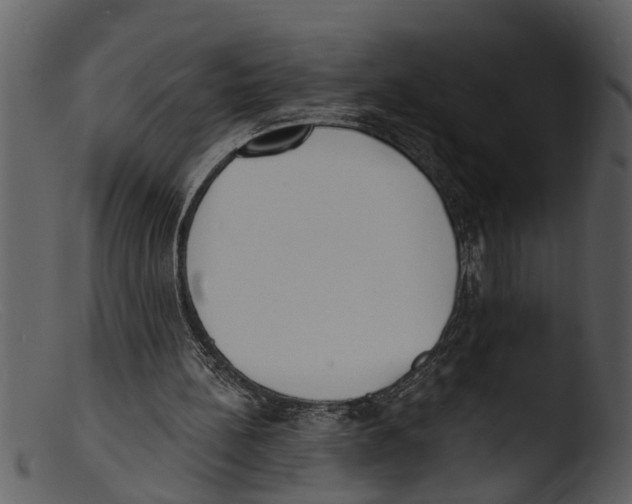 X0000103300148200809261321