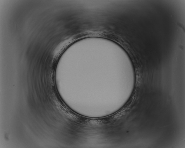 X0000103300149200809261321