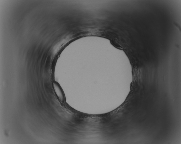 X0000103300150200809261321