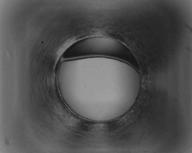 X0000103300152200809261321