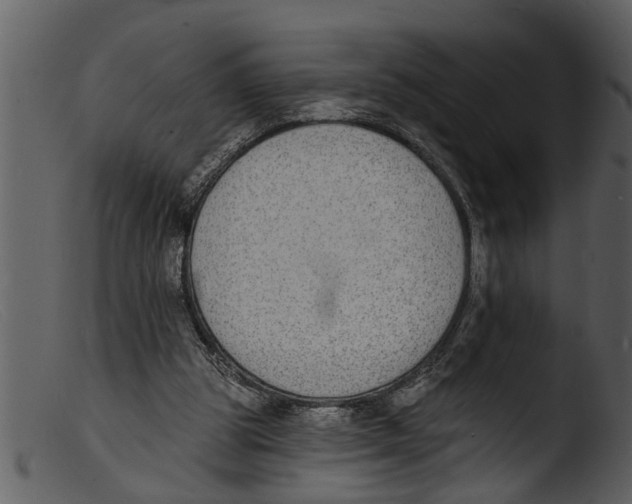 X0000103300153200809261321