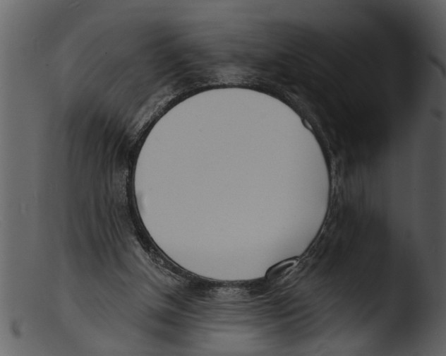 X0000103300154200809261321