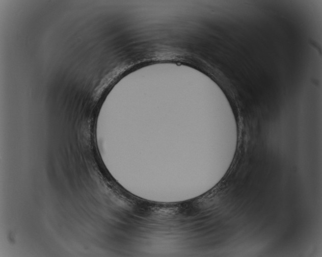 X0000103300155200809261322