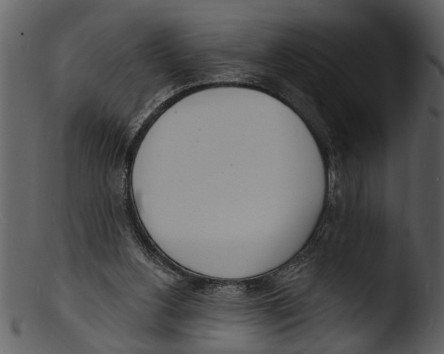 X0000103300156200809261322