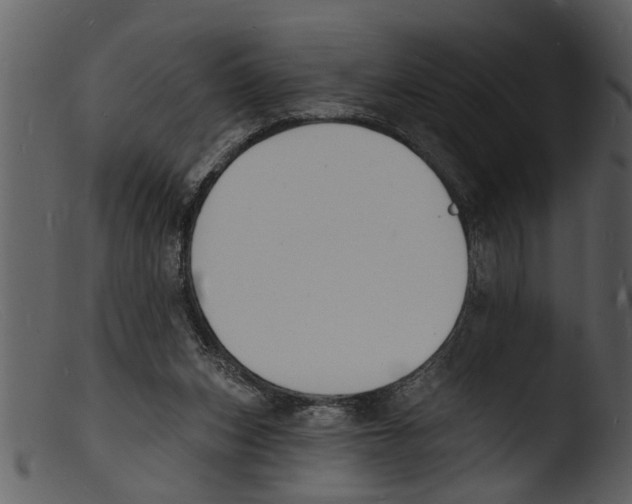 X0000103300159200809261322