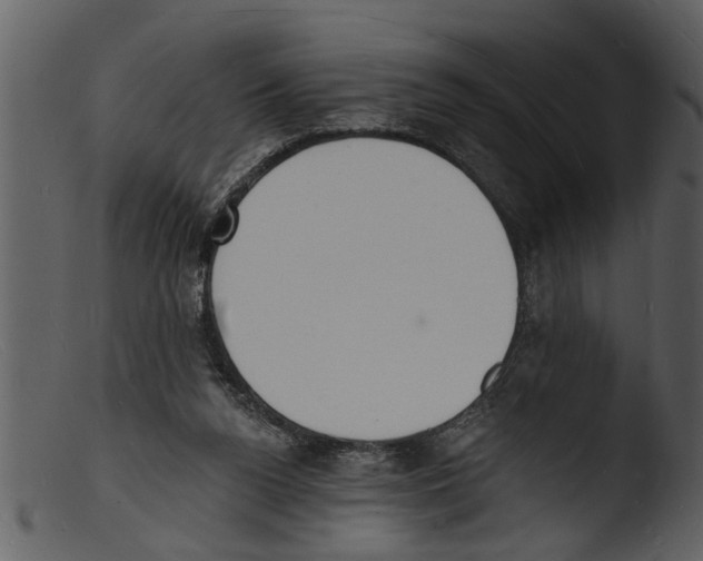 X0000103300160200809261322