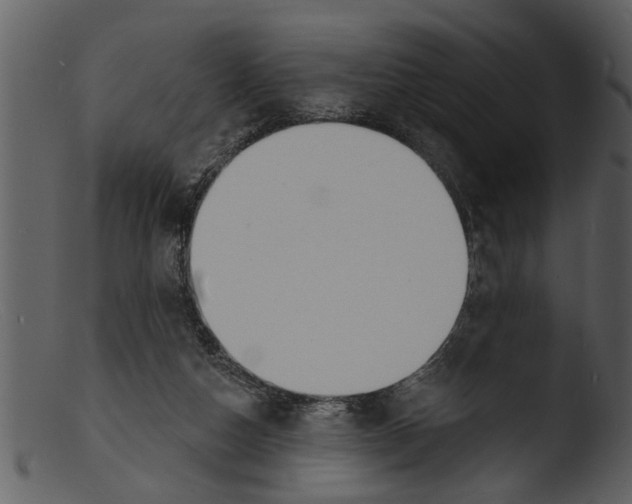 X0000103300162200809261322