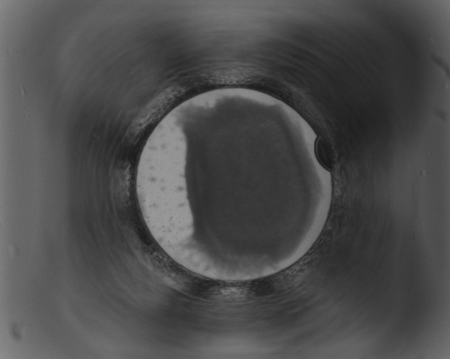 X0000103300163200809261322