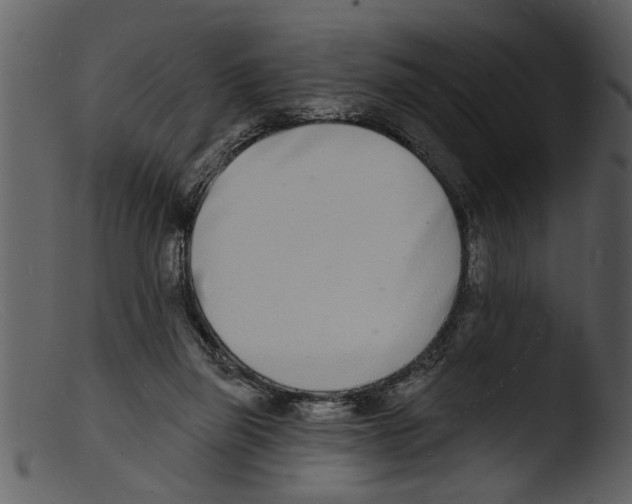 X0000103300165200809261322