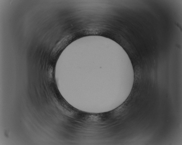 X0000103300166200809261322
