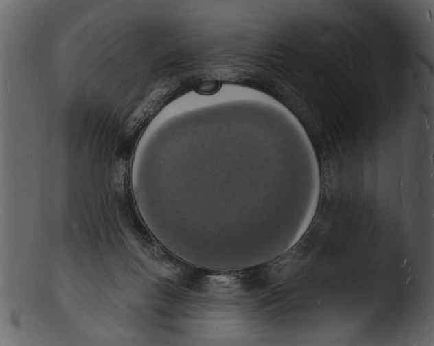 X0000103300167200809261322