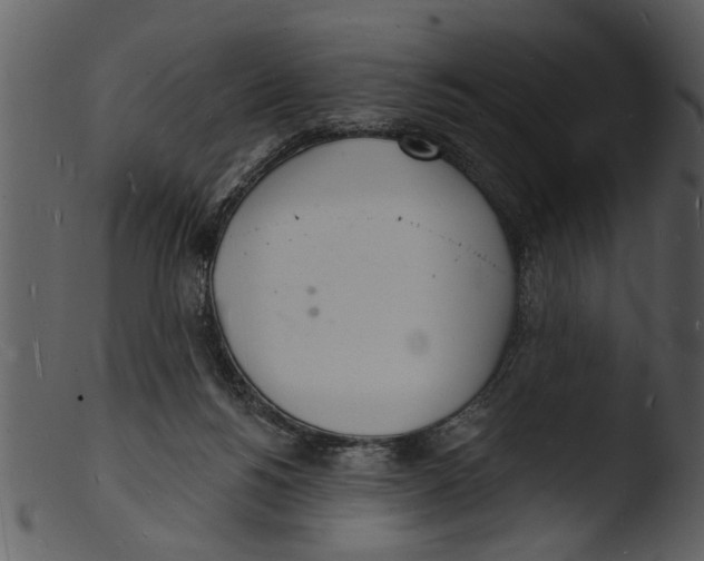 X0000103300168200809261322