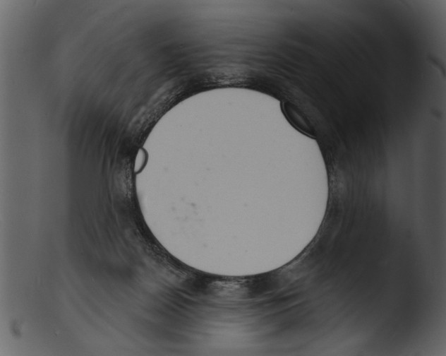 X0000103300170200809261322