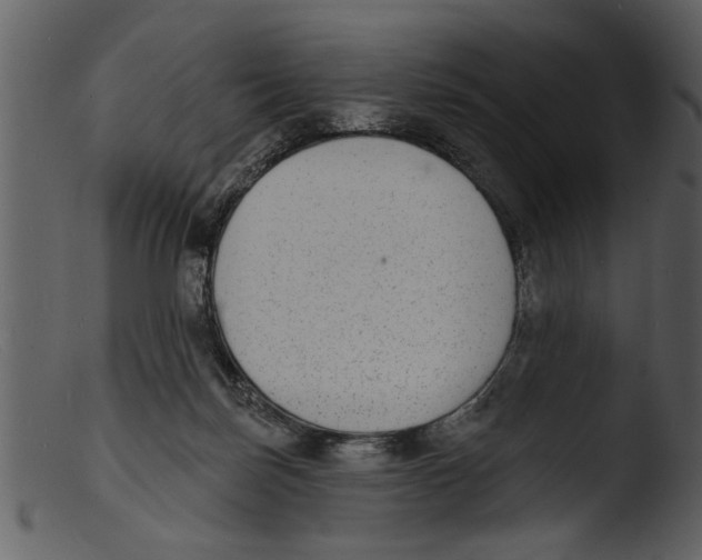X0000103300171200809261322