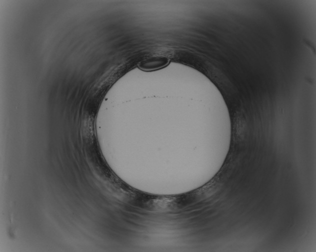 X0000103300172200809261322