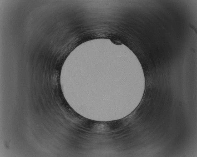 X0000103300174200809261322