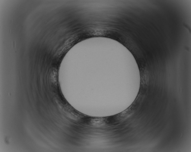 X0000103300175200809261322
