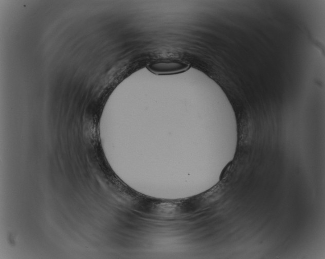 X0000103300176200809261322