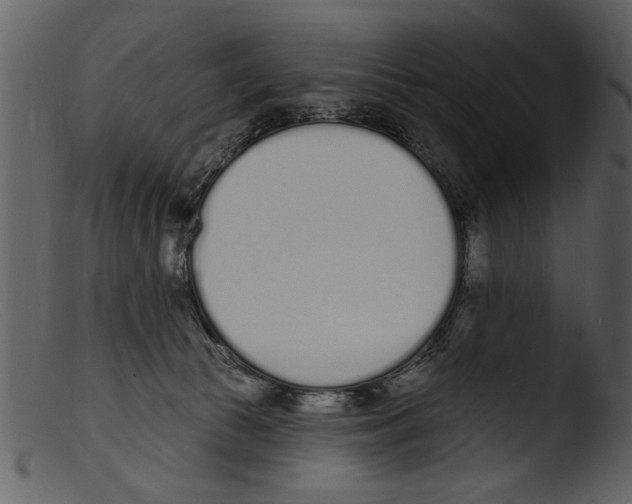 X0000103300177200809261322