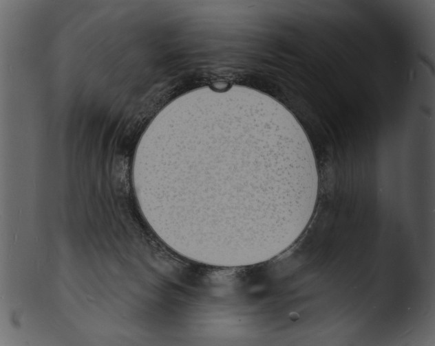 X0000103300178200809261322