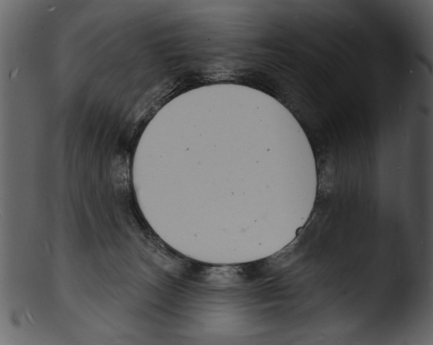 X0000103300179200809261322