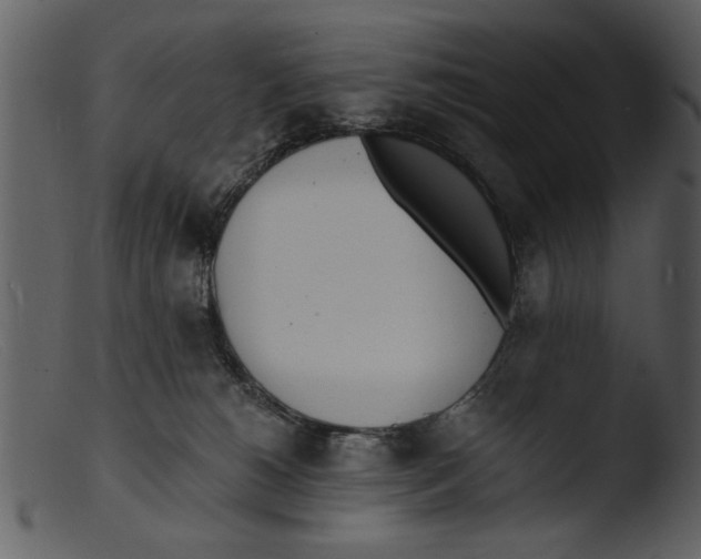 X0000103300180200809261322