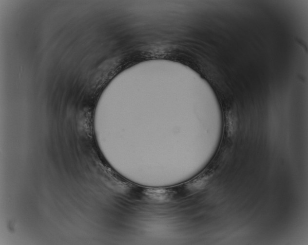X0000103300181200809261322