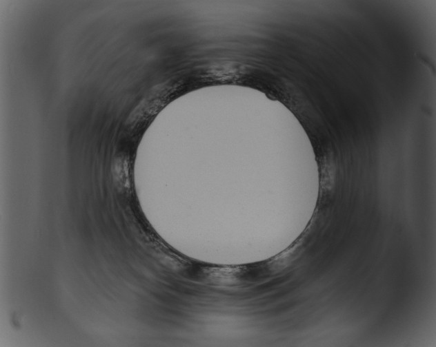 X0000103300182200809261322