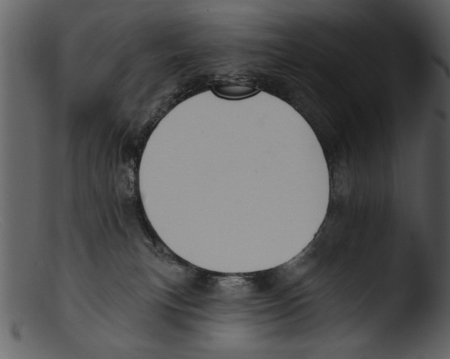 X0000103300183200809261322