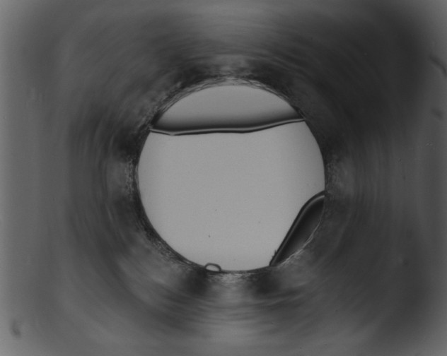 X0000103300184200809261322