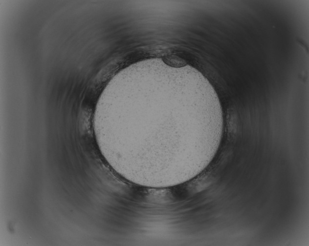 X0000103300185200809261322