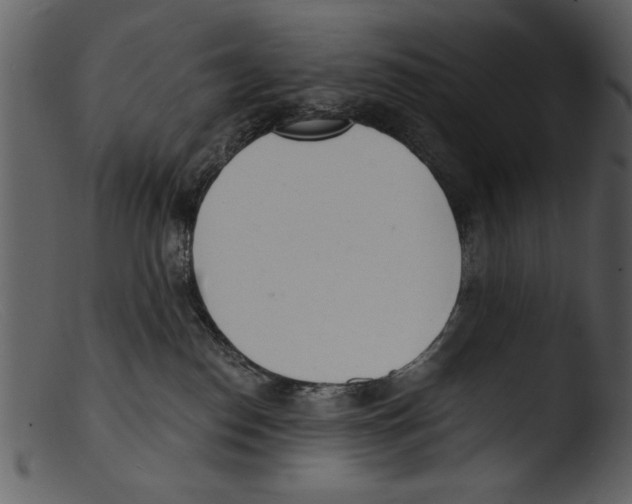 X0000103300186200809261322