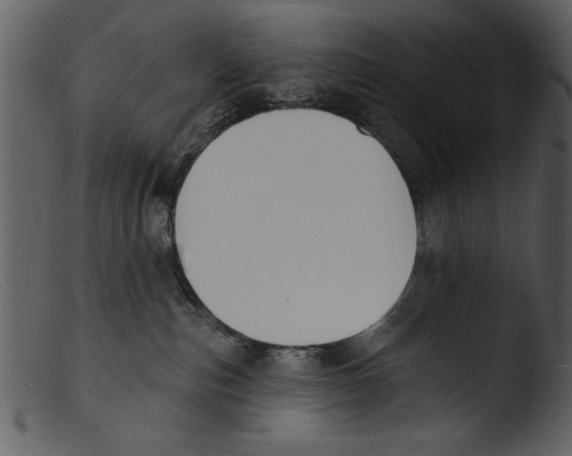 X0000103300187200809261322