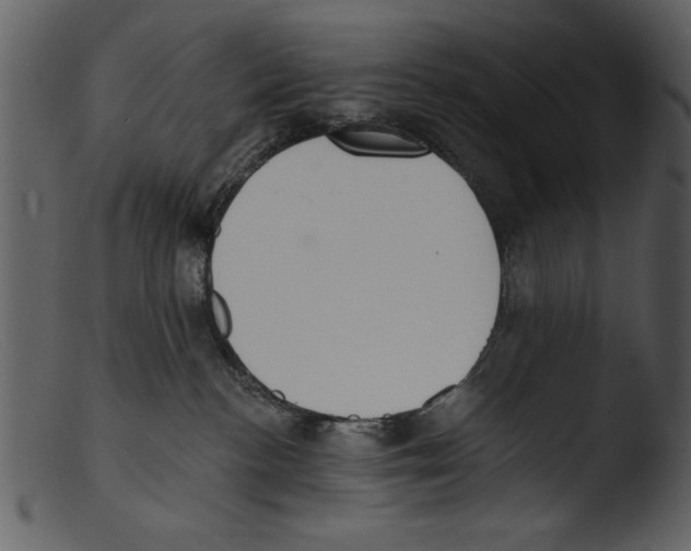 X0000103300188200809261322