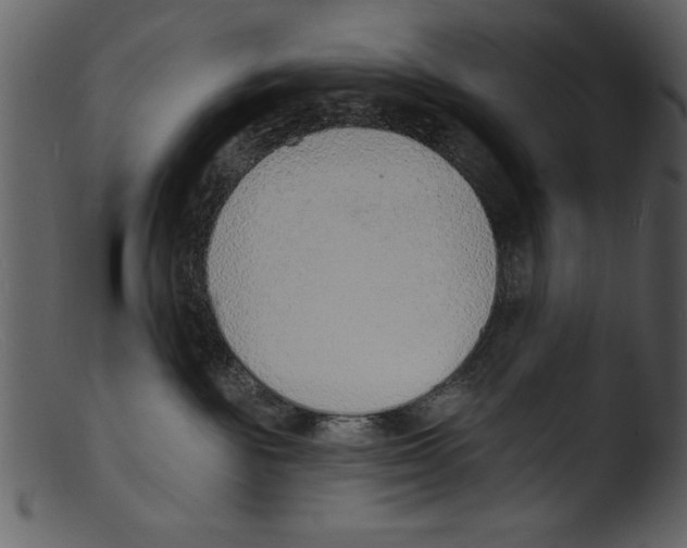 X0000103300189200809261322
