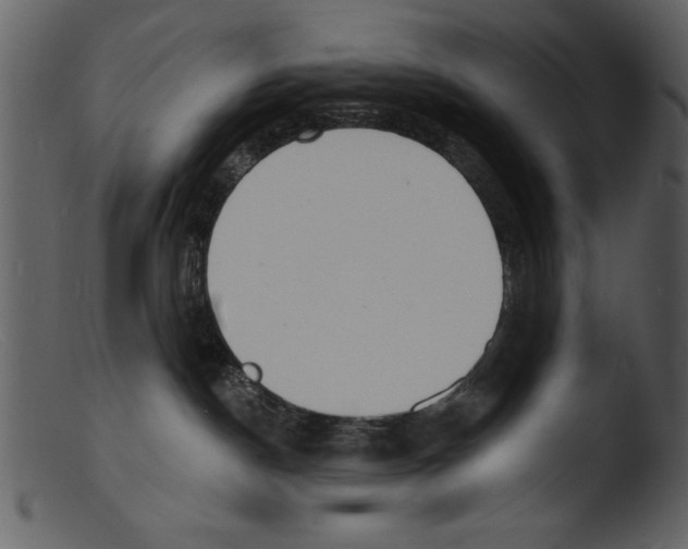 X0000103300190200809261322