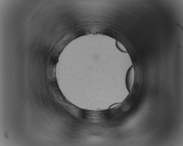 X0000103300191200809261322