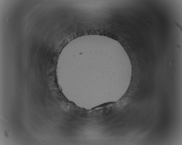 X0000103300192200809261322