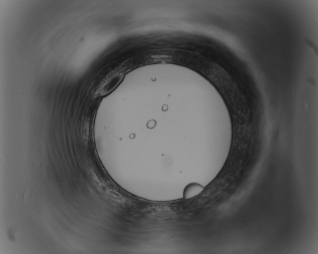 X0000103300194200809261321