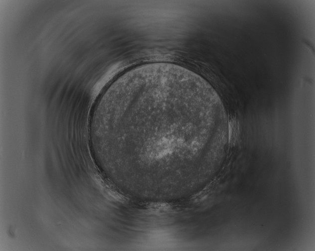 X0000103300195200809261321