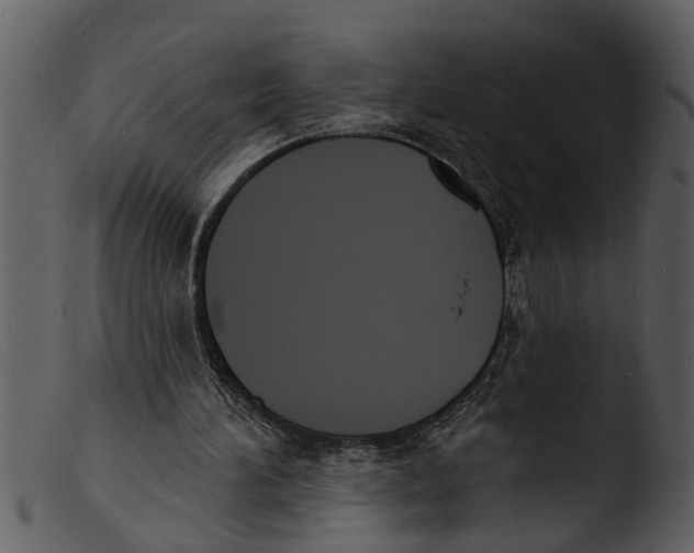 X0000103300196200809261321