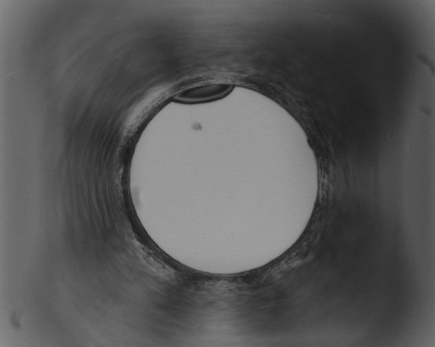 X0000103300197200809261321