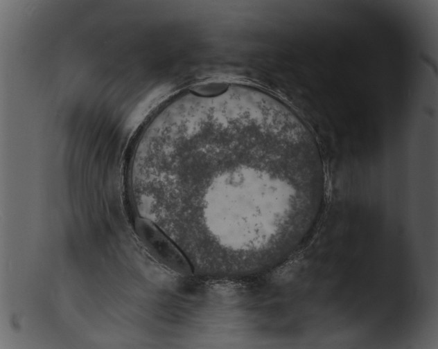 X0000103300199200809261321