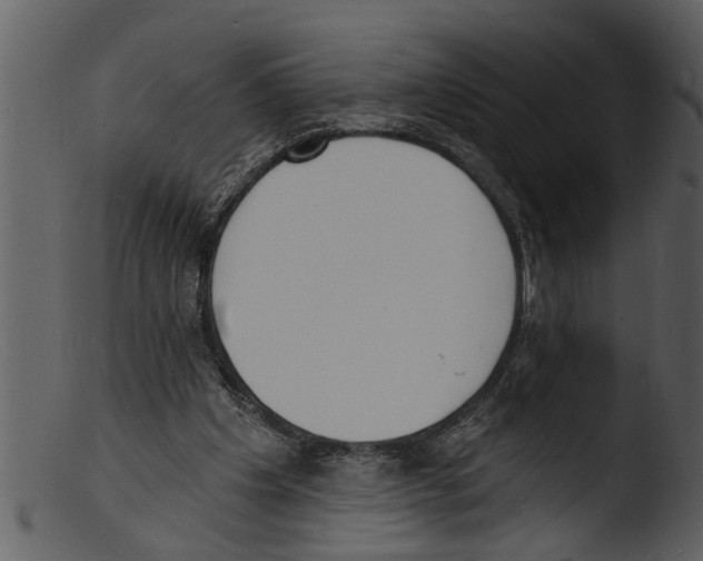 X0000103300201200809261321